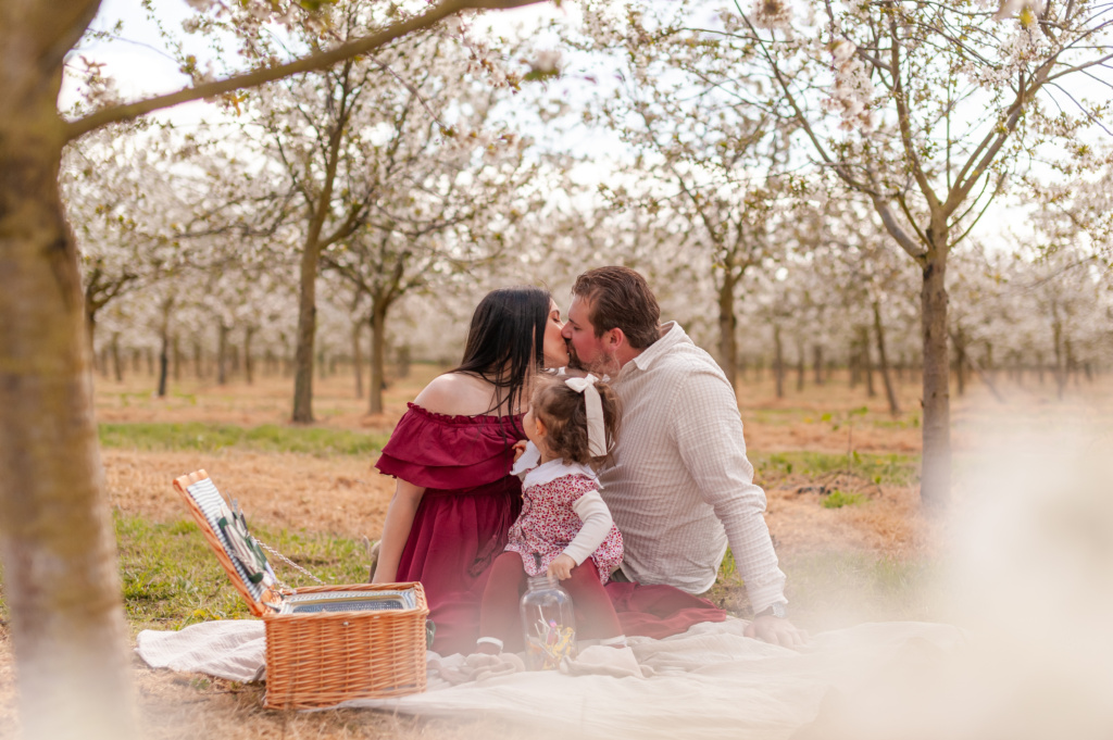 Photo annonce grossesse et famille : Toulouse, Agen, Dunes.